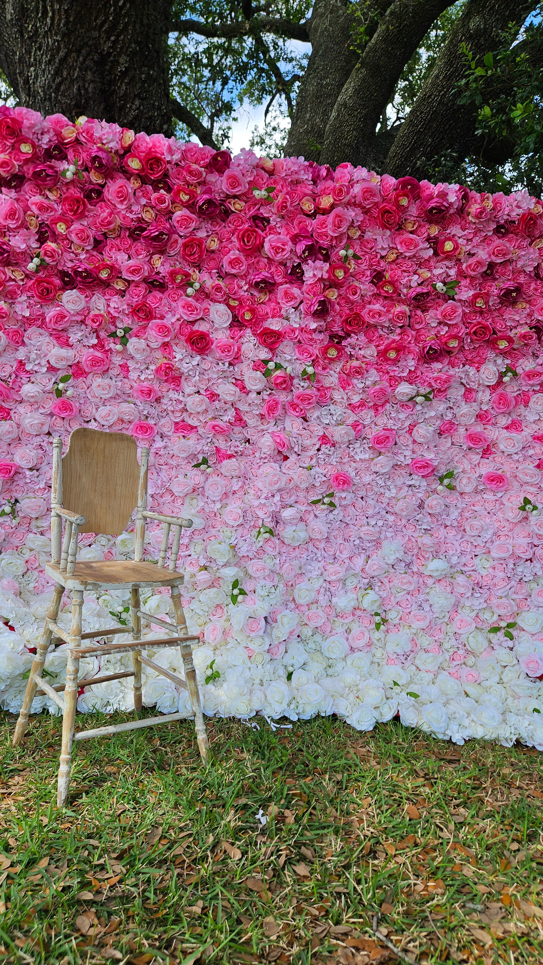 Pink Ombre Floral Wall