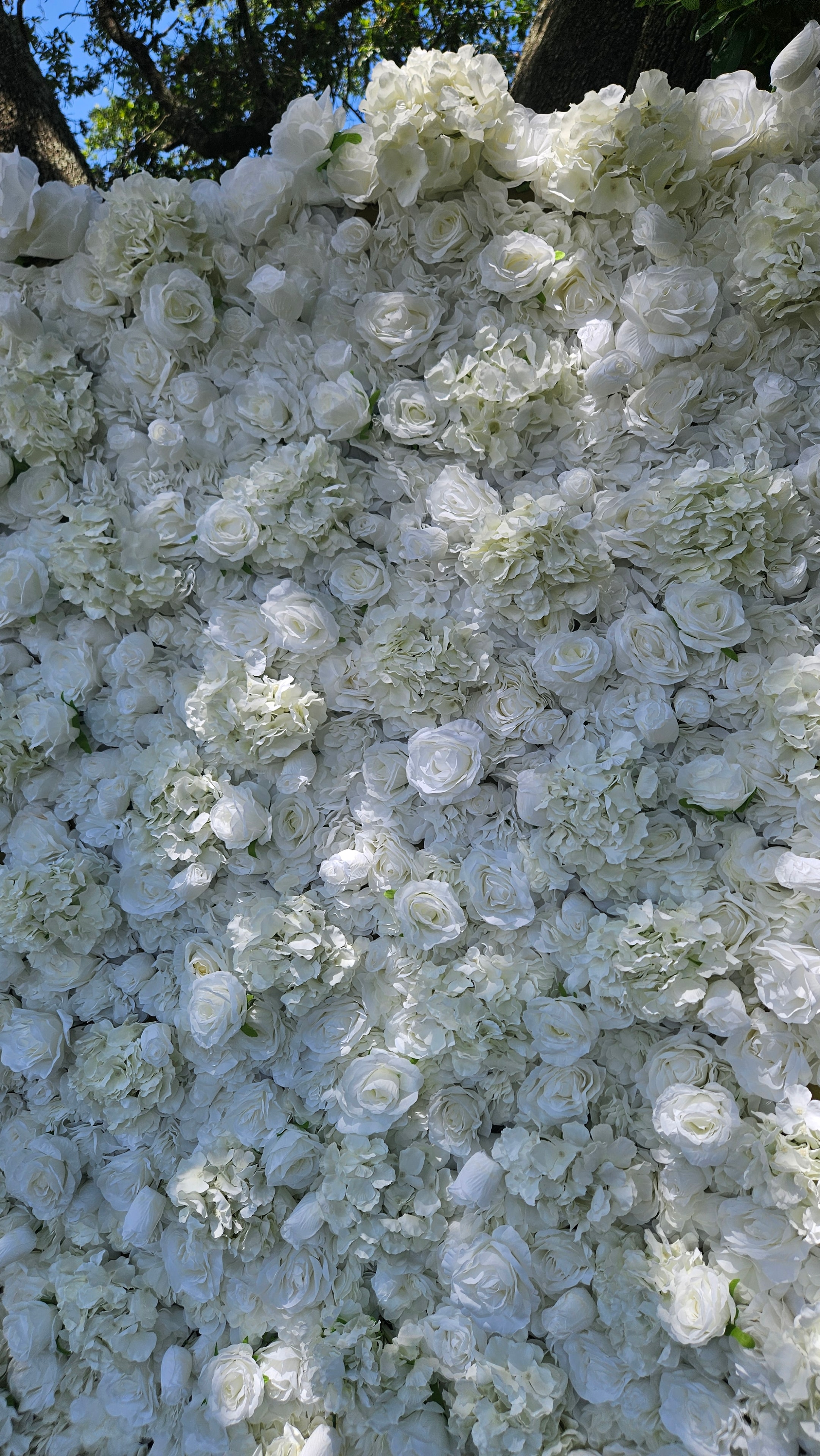White Rose & Hydrangea Wall